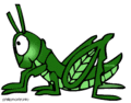 Animal_grasshopper
